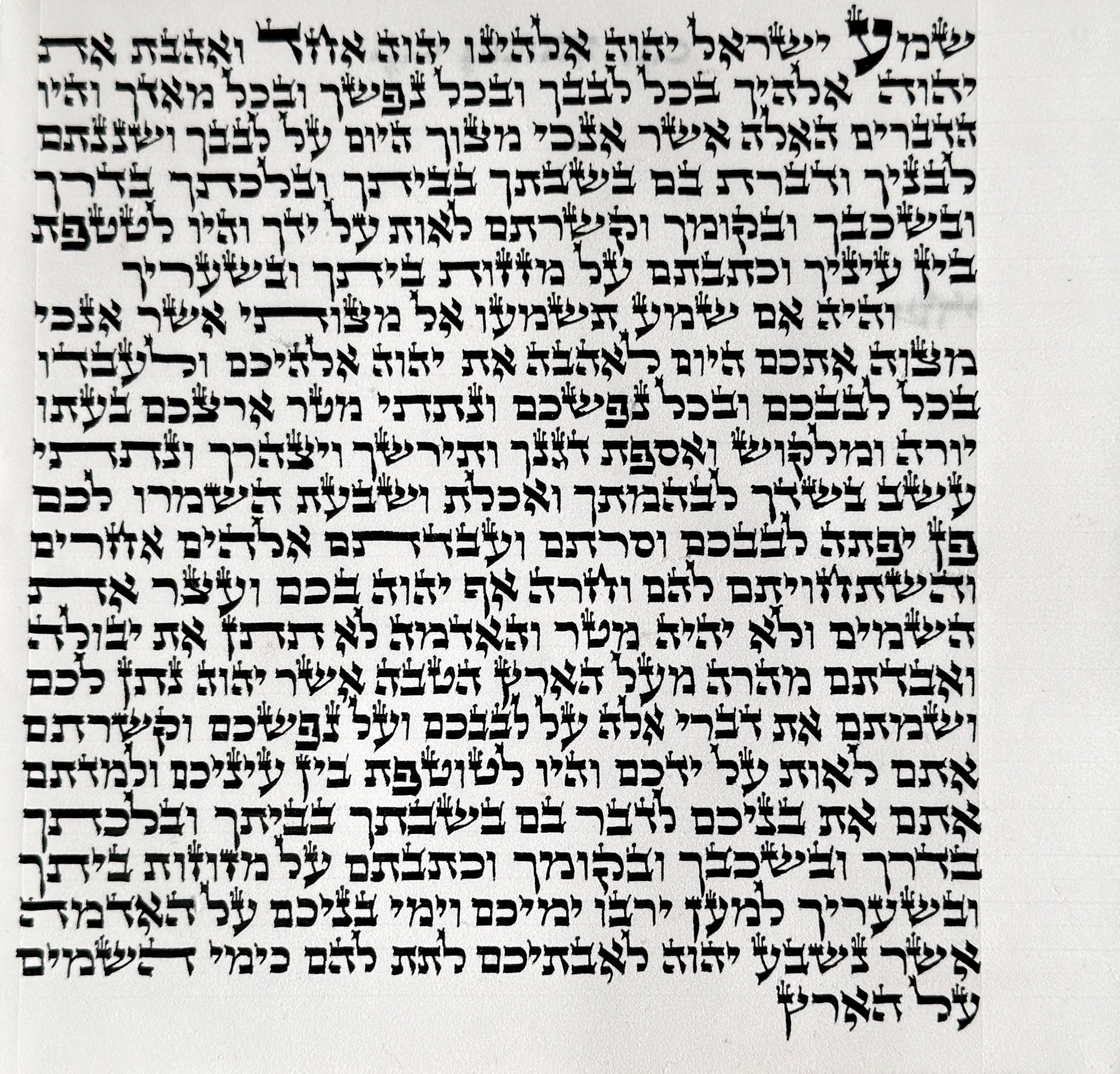 Mehudar Ashkenazi mezuzah scroll 6 inch handwritten on kosher klaf in Beit Yosef ksav
