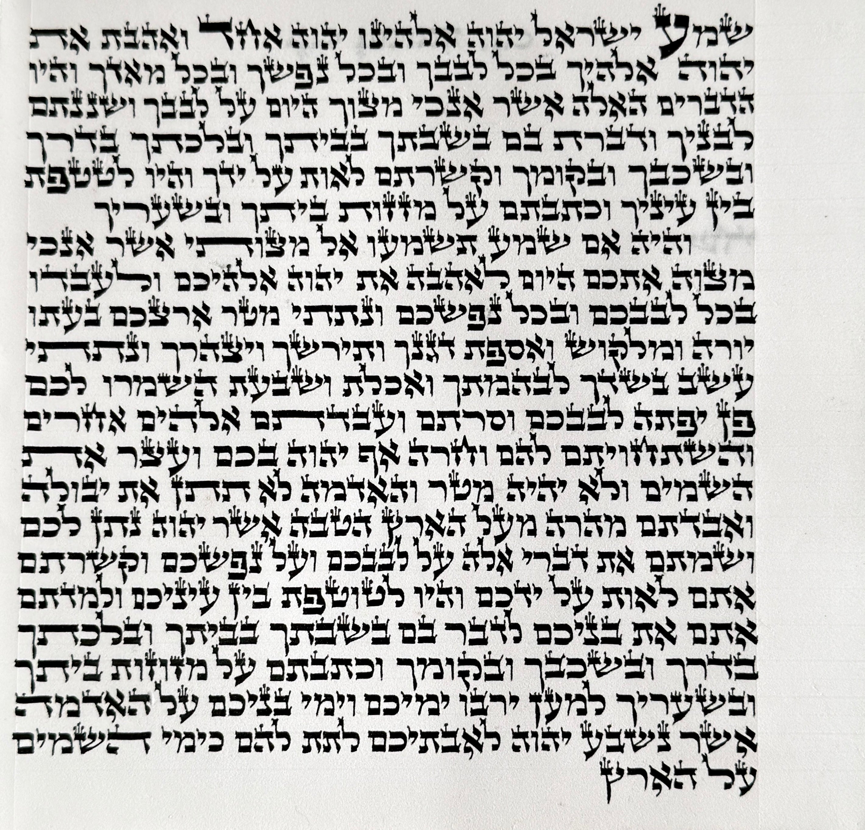Mehudar Ashkenazi mezuzah scroll 6 inch handwritten on kosher klaf in Beit Yosef ksav