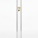 Front of Timeless Clear Gold Shin Outdoor Mezuzah with transparent acrylic body and raised gold Hebrew Shin