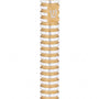 Sleek champagne-colored round mezuzah case with grooved design for outdoor use